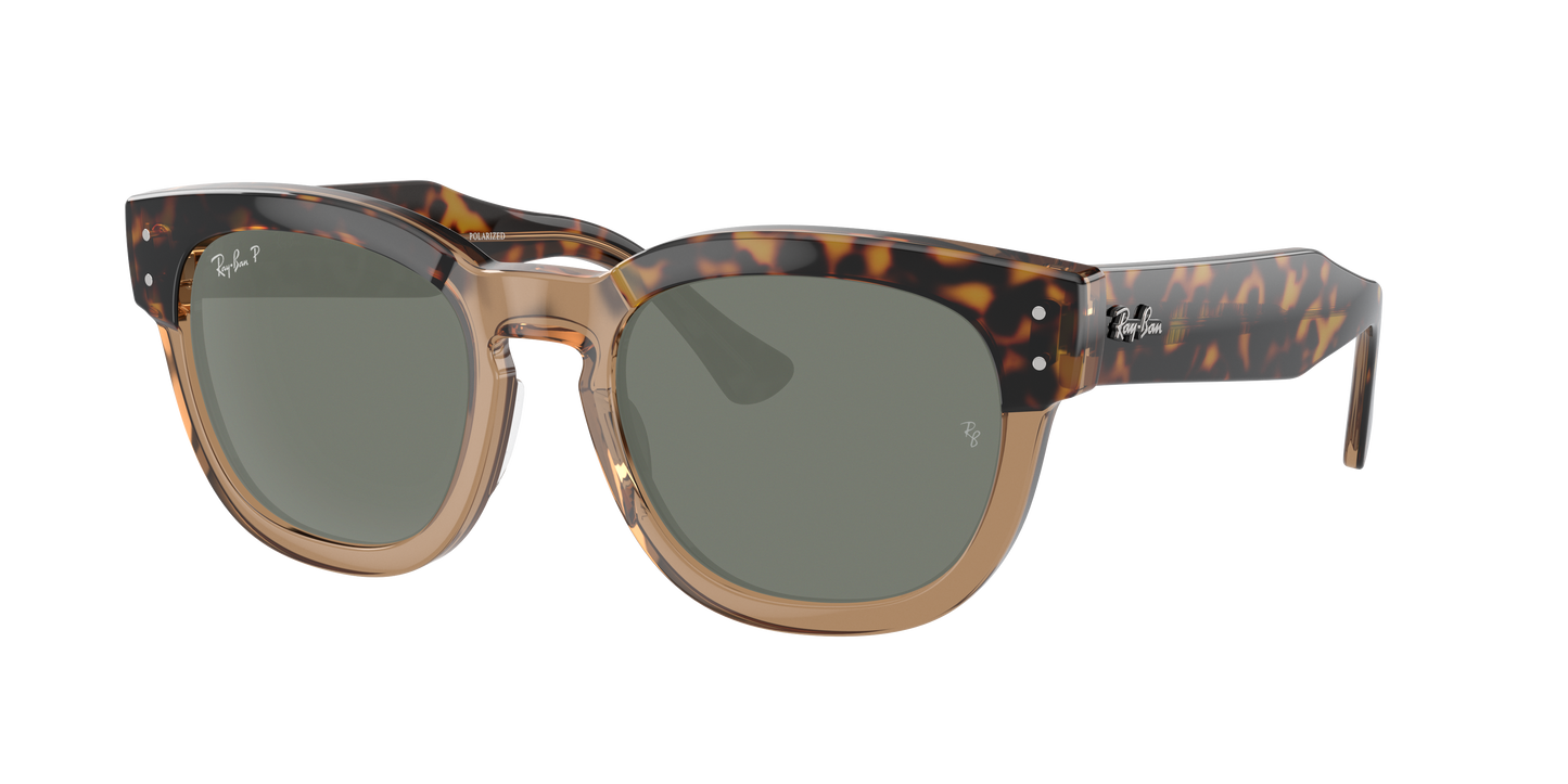 HAVANA ON TRANSPARENT BR, Green-Polarized, Rayban