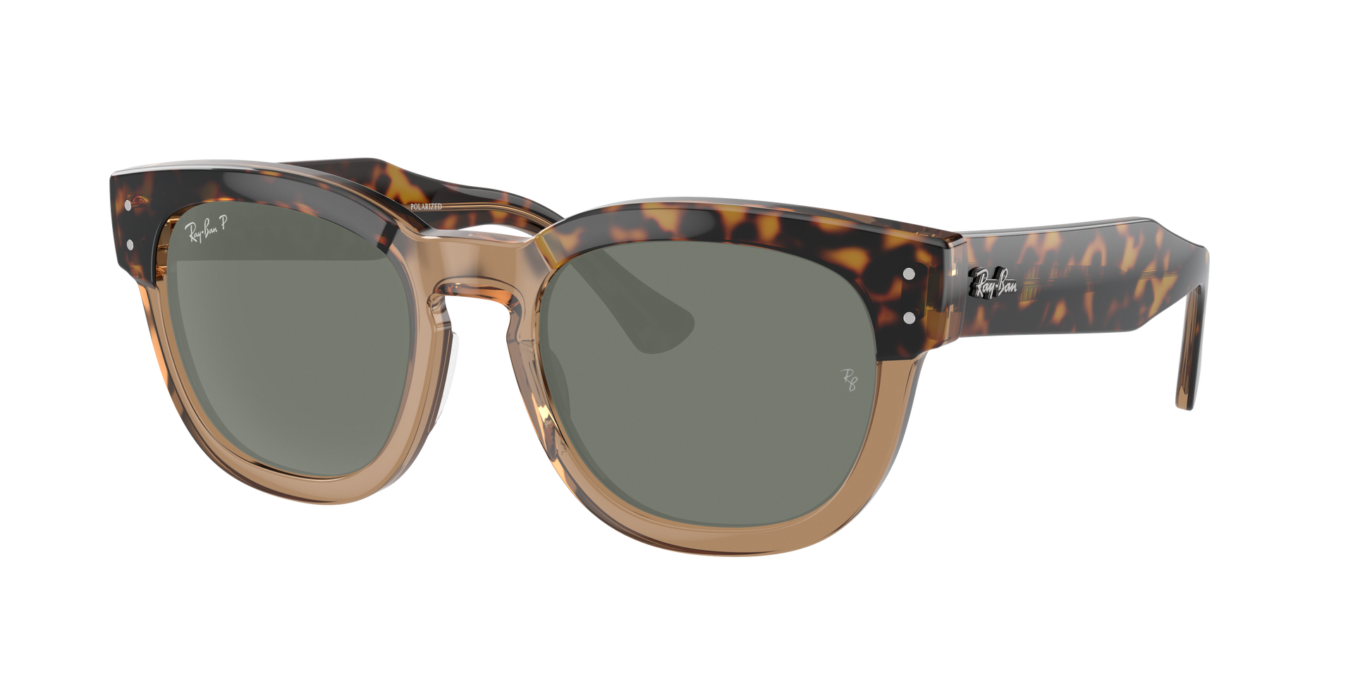 HAVANA ON TRANSPARENT BR, Green-Polarized, Rayban