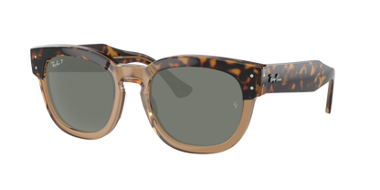 HAVANA ON TRANSPARENT BR, Green-Polarized, Rayban