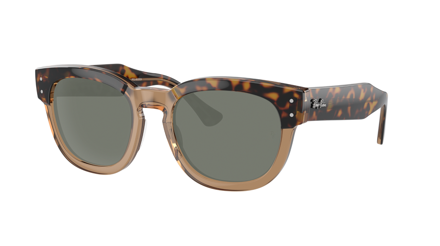 HAVANA ON TRANSPARENT BR, Green-Polarized, Sunberryrx