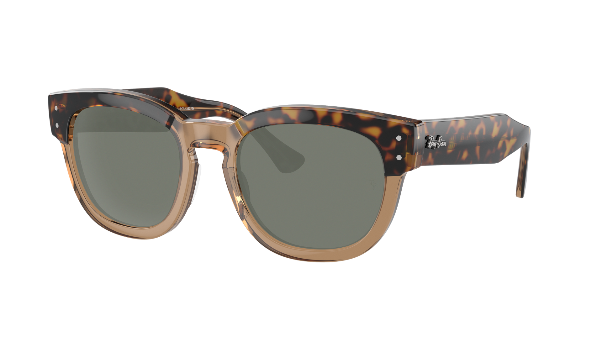 HAVANA ON TRANSPARENT BR, Green-Polarized, Sunberryrx