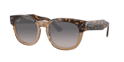 HAVANA ON TRANSPARENT BR, Grey Gradient-Polarized, Rayban