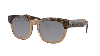 HAVANA ON TRANSPARENT BR, Grey-Polarized, Sunberryrx