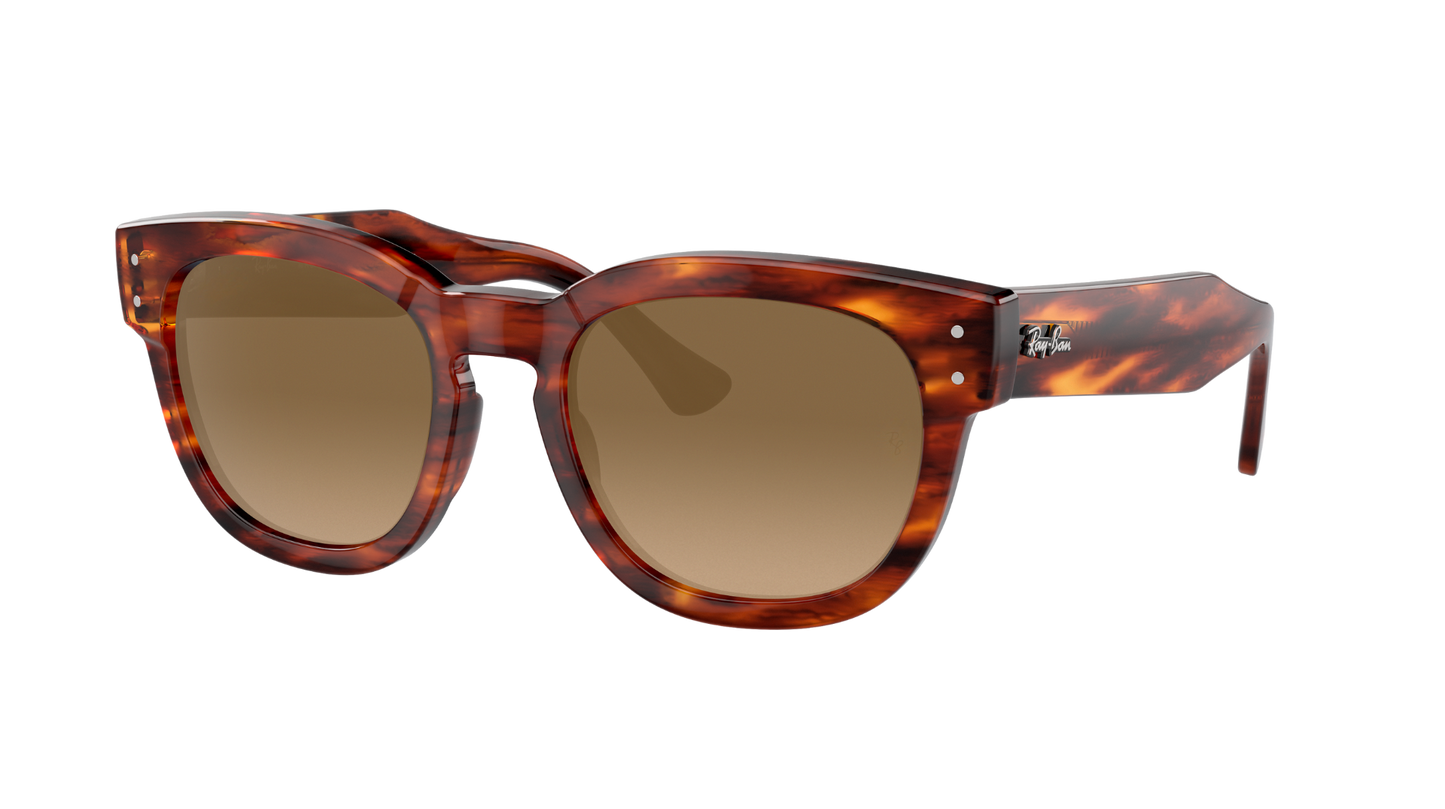 STRIPED HAVANA, Brown Gradient, Sunberryrx