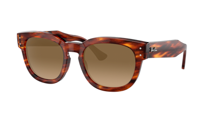STRIPED HAVANA, Brown Gradient, Sunberryrx