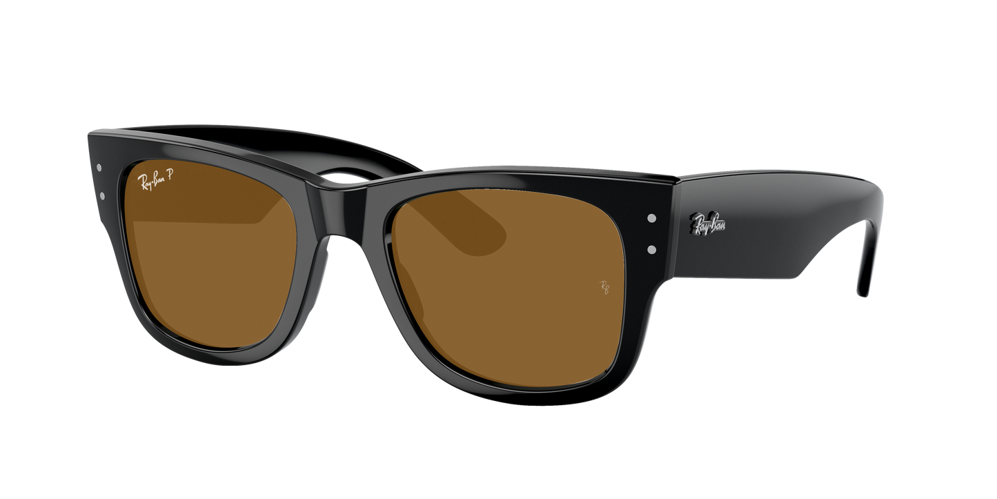 Black, Brown-Polarized, Rayban