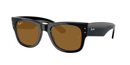 Black, Brown-Polarized, Rayban