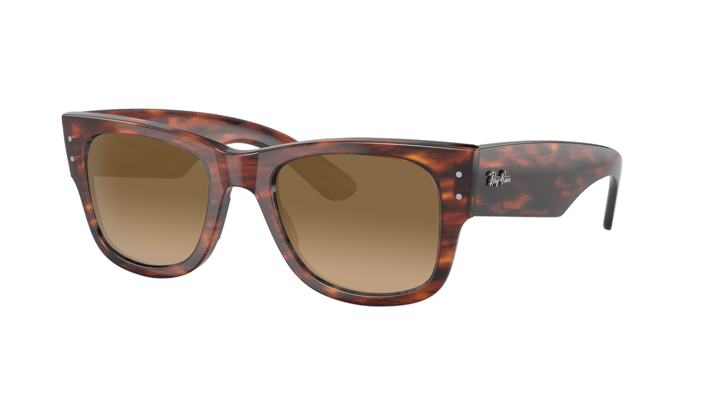 STRIPED HAVANA, Brown Gradient, Sunberryrx