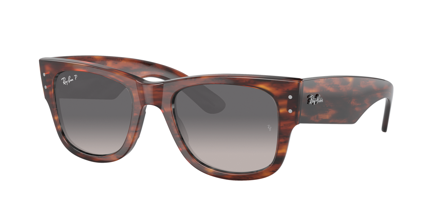 STRIPED HAVANA, Grey Gradient-Polarized, Rayban