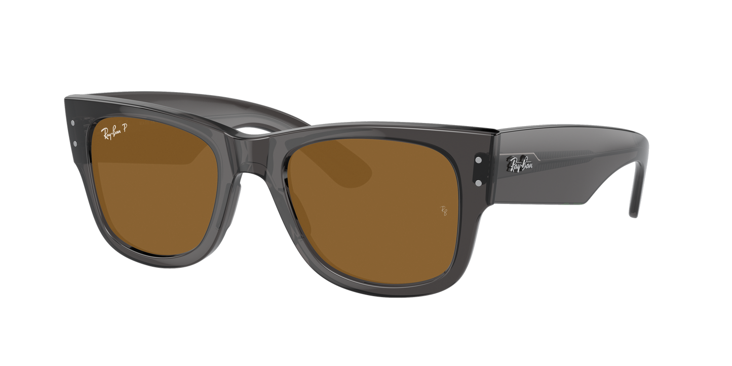TRANSPARENT BLACK, Brown-Polarized, Rayban
