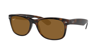 TORTOISE, Brown-Polarized, Rayban