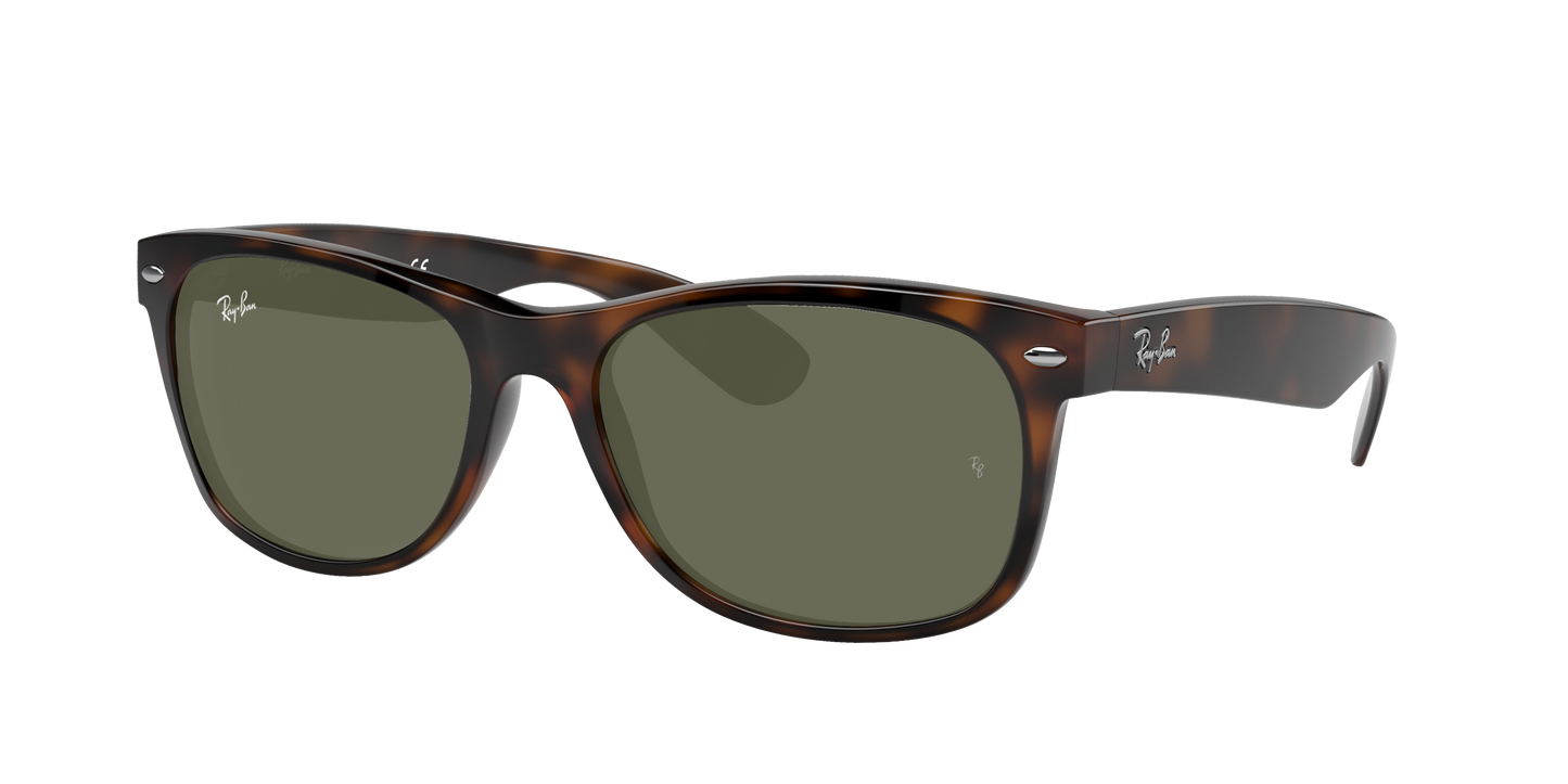 TORTOISE, Green, Rayban