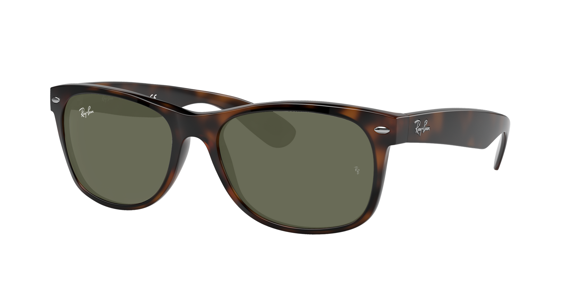 TORTOISE, Green, Rayban