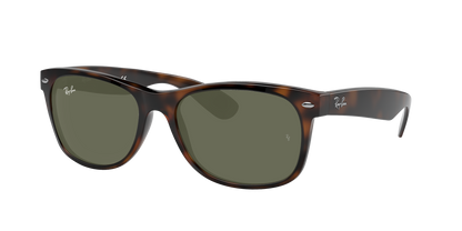 TORTOISE, Green, Rayban