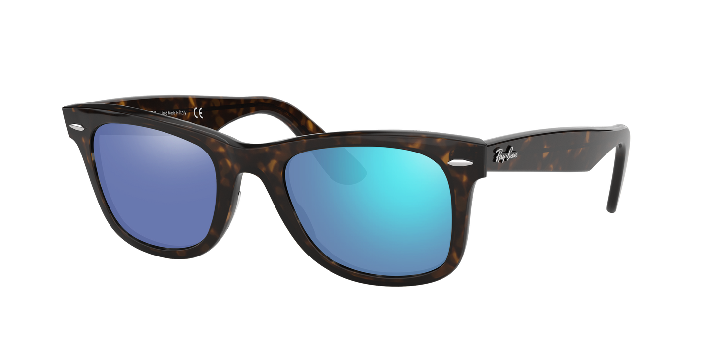 TORTOISE, Blue-Mirrored, Sunberryrx