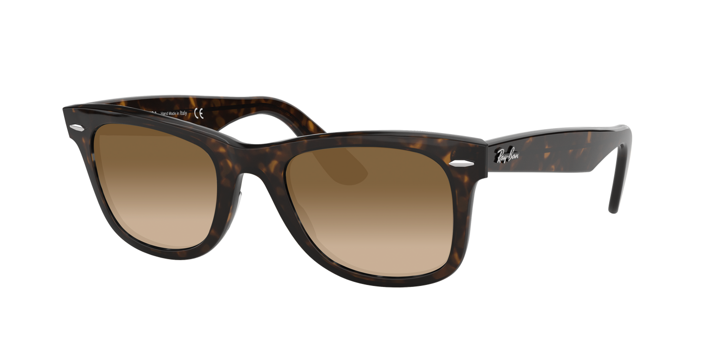 TORTOISE, Brown Gradient, Sunberryrx