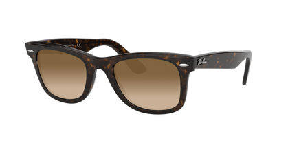 TORTOISE, Brown Gradient, Sunberryrx