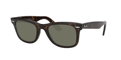 TORTOISE, Green-Polarized, Sunberryrx