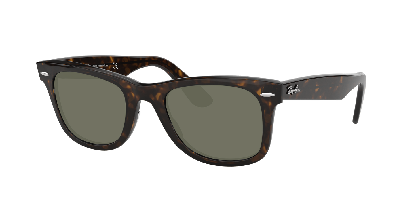 TORTOISE, Green, Sunberryrx