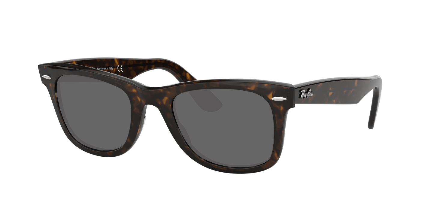 TORTOISE, Grey, Sunberryrx