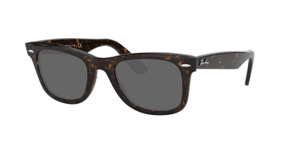 TORTOISE, Grey, Sunberryrx