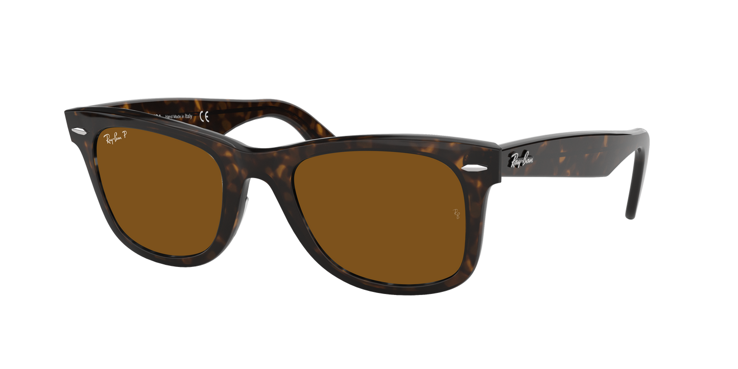 TORTOISE, Brown-Polarized, Rayban