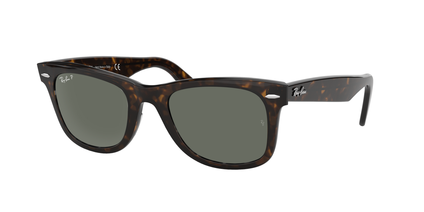 TORTOISE, Green-Polarized, Rayban