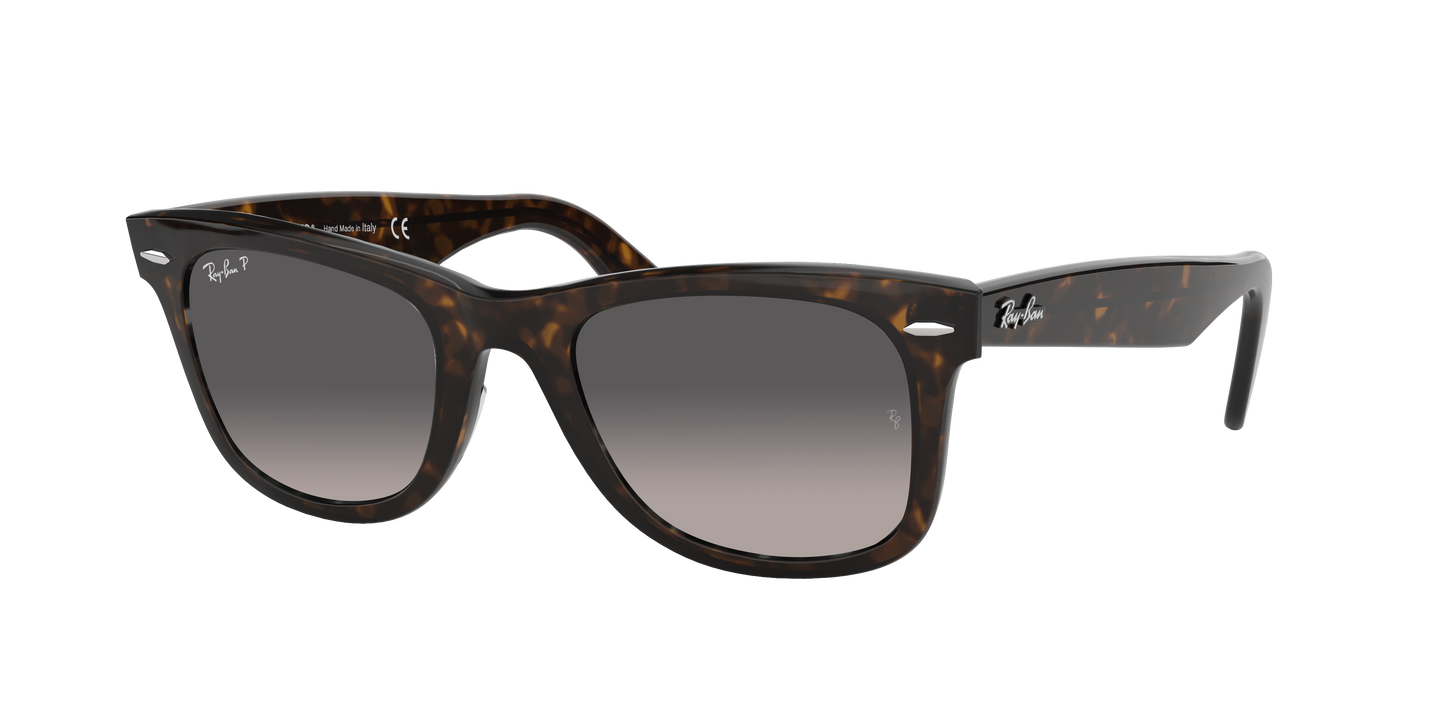 TORTOISE, Grey Gradient-Polarized, Rayban