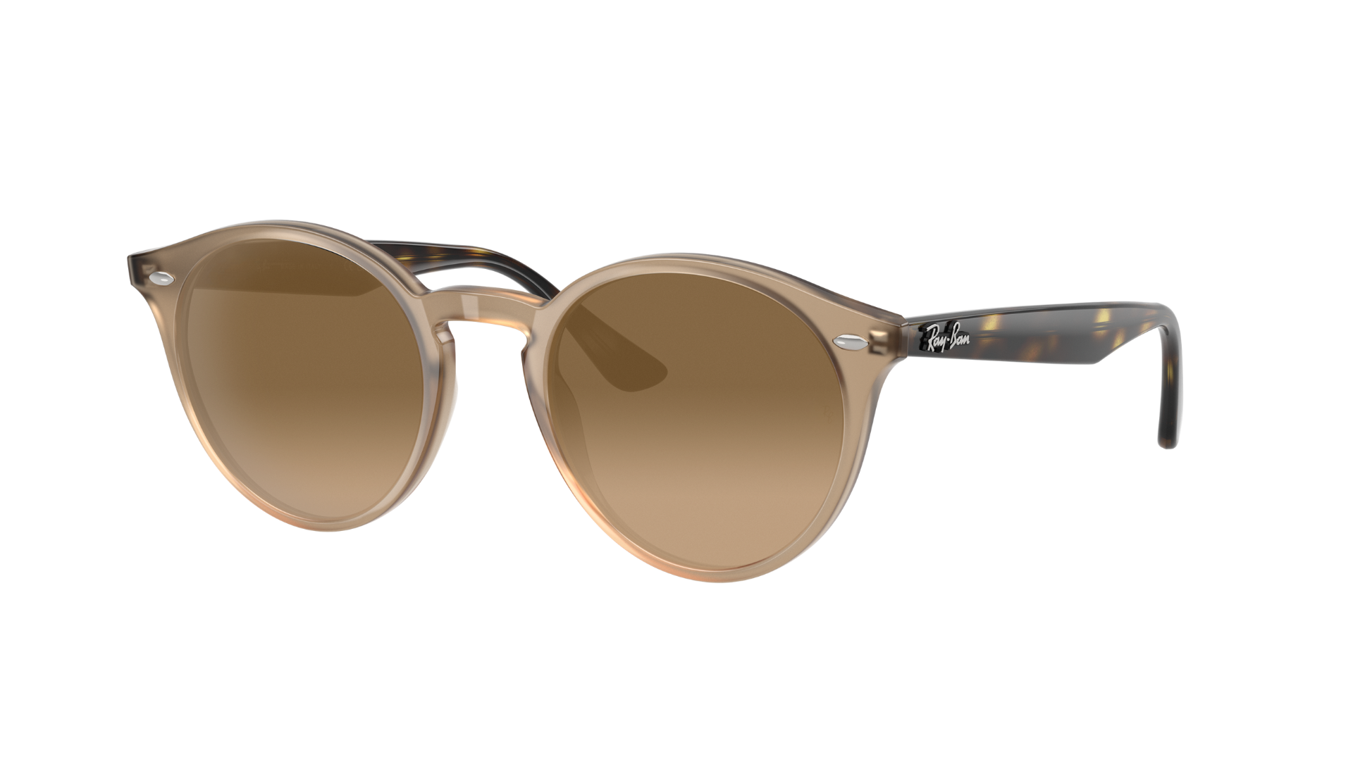 TURTLEDOVE, Brown Gradient, Sunberryrx