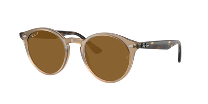 TURTLEDOVE, Brown-Polarized, Rayban