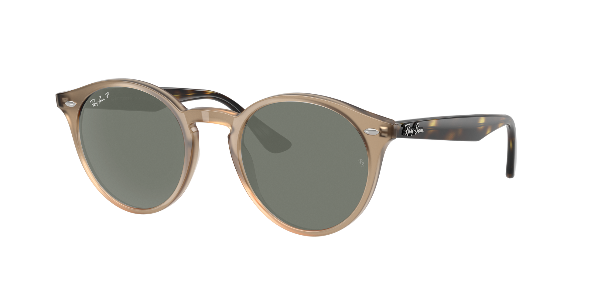 TURTLEDOVE, Green-Polarized, Rayban