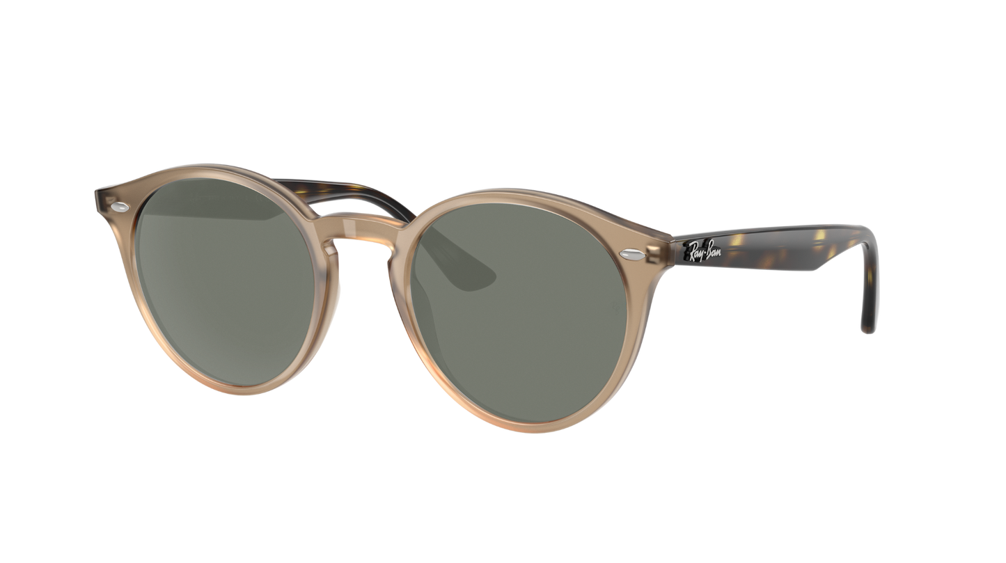 TURTLEDOVE, Green-Polarized, Sunberryrx