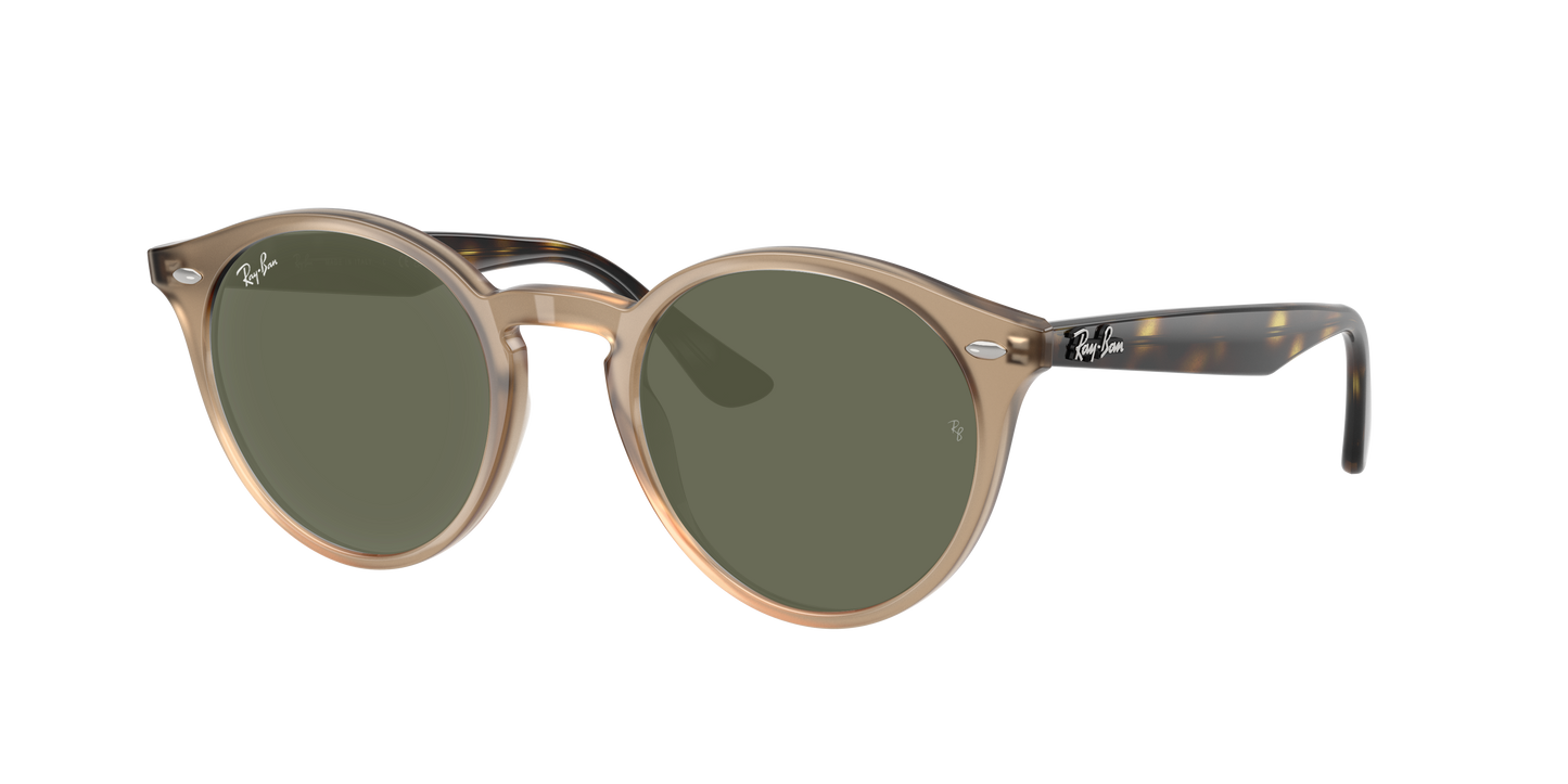 TURTLEDOVE, Green, Rayban