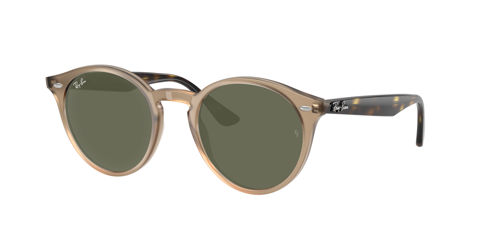TURTLEDOVE, Green, Rayban