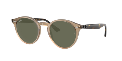 TURTLEDOVE, Green, Rayban