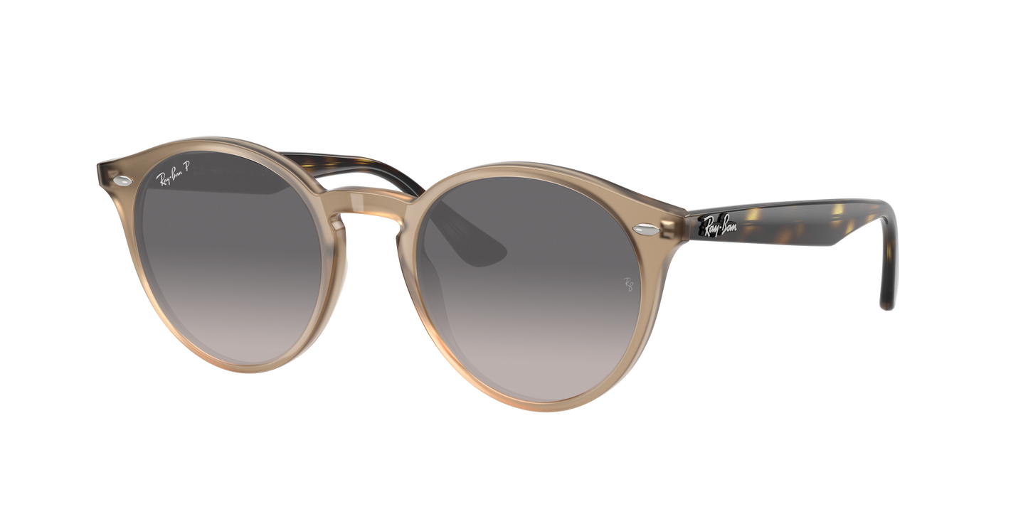 TURTLEDOVE, Grey Gradient-Polarized, Rayban