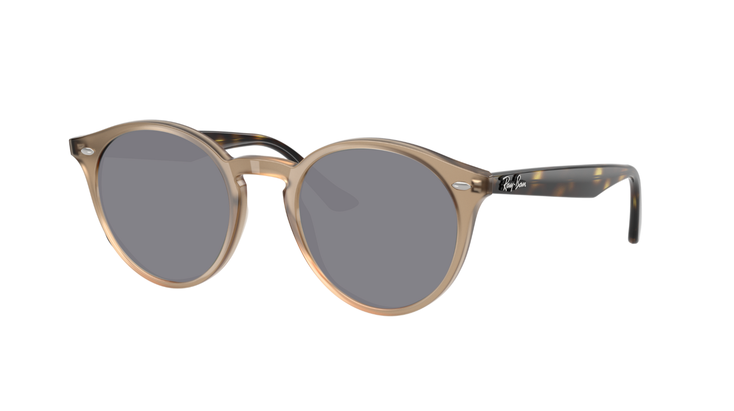 TURTLEDOVE, Grey-Polarized, Sunberryrx
