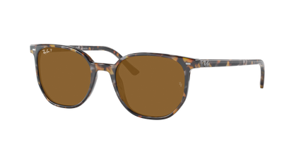 HAVANA BROWN GREY, Brown-Polarized, Rayban