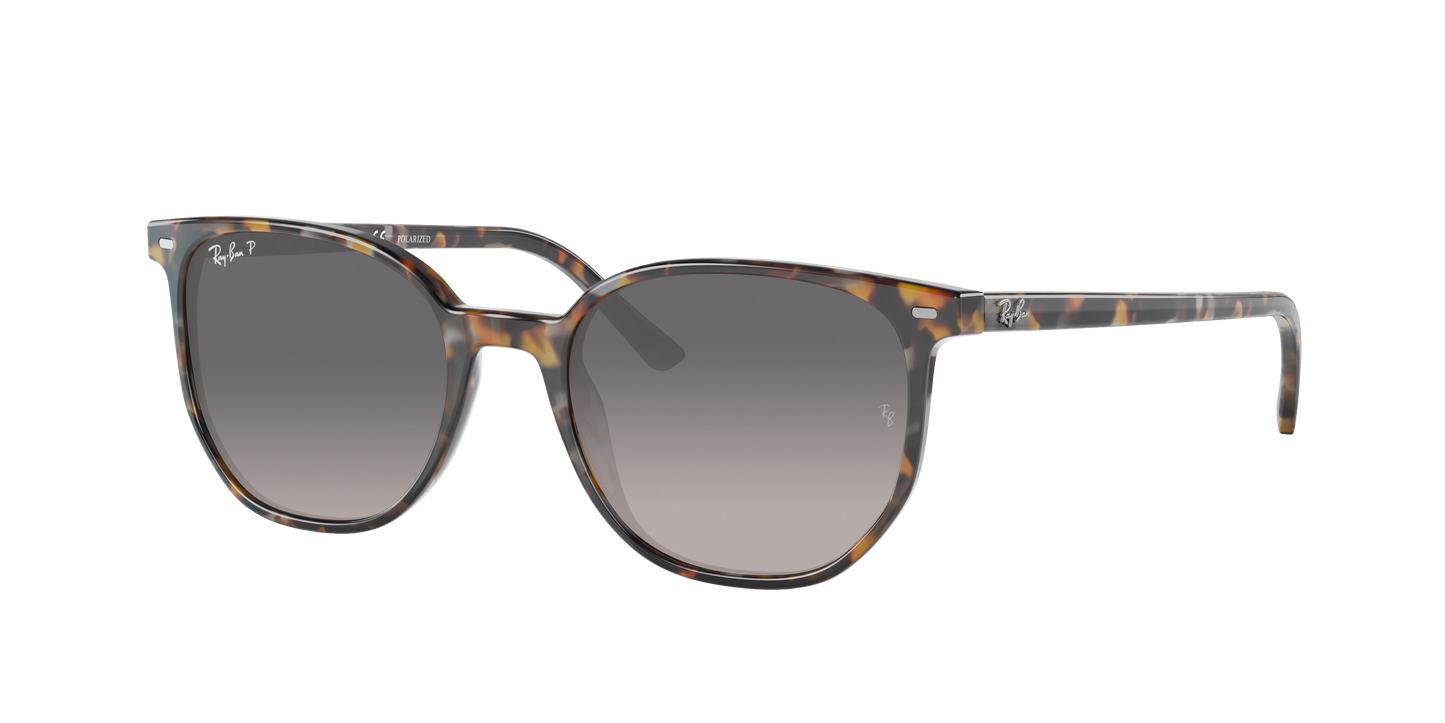 HAVANA BROWN GREY, Grey Gradient-Polarized, Rayban