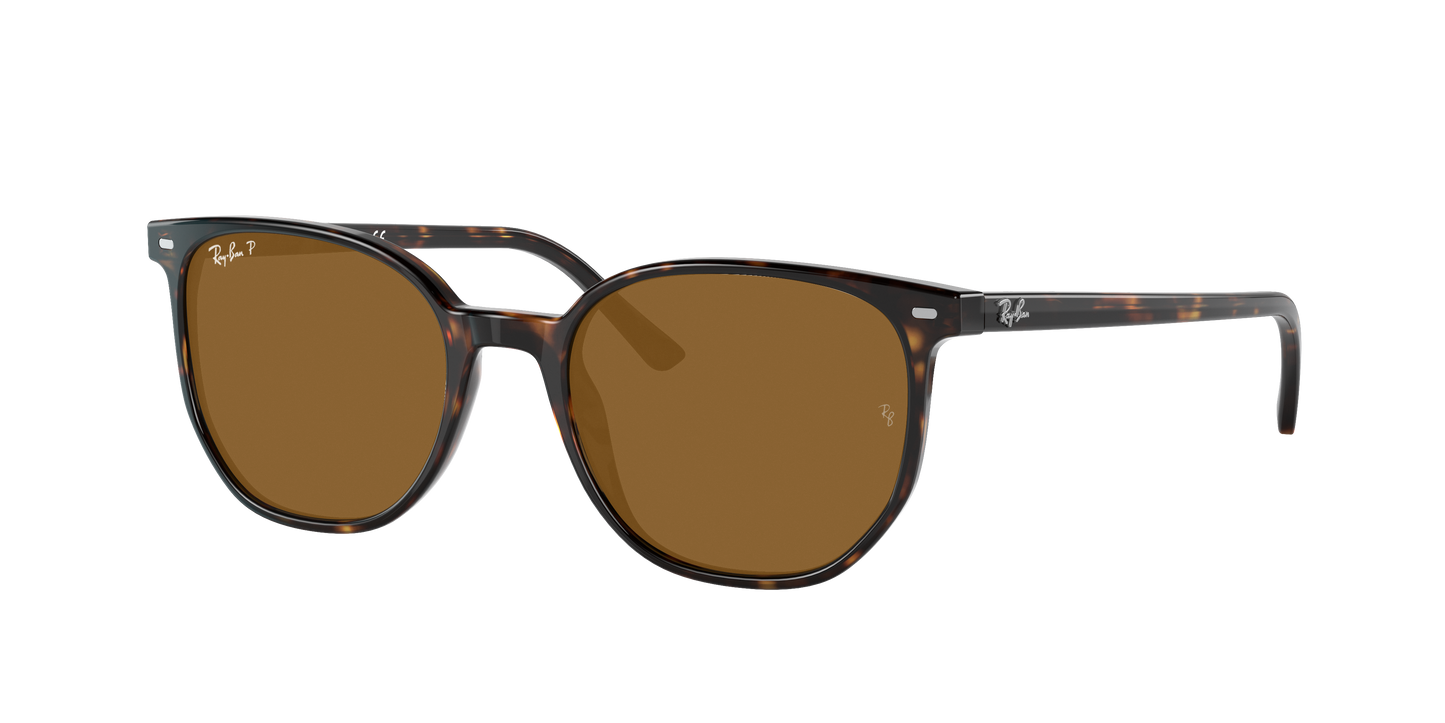 Havana, Brown-Polarized, Rayban
