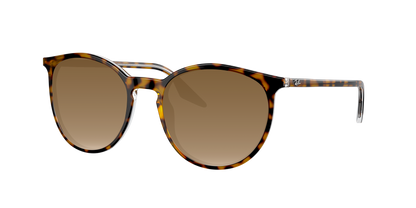 HAVANA ON TRANSPARENT, Brown Gradient, Sunberryrx