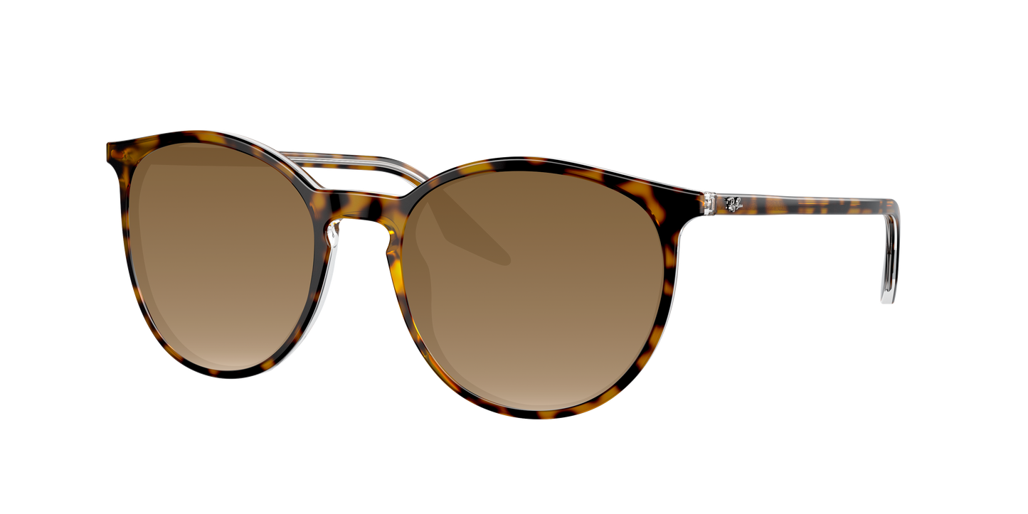 HAVANA ON TRANSPARENT, Brown Gradient, Sunberryrx