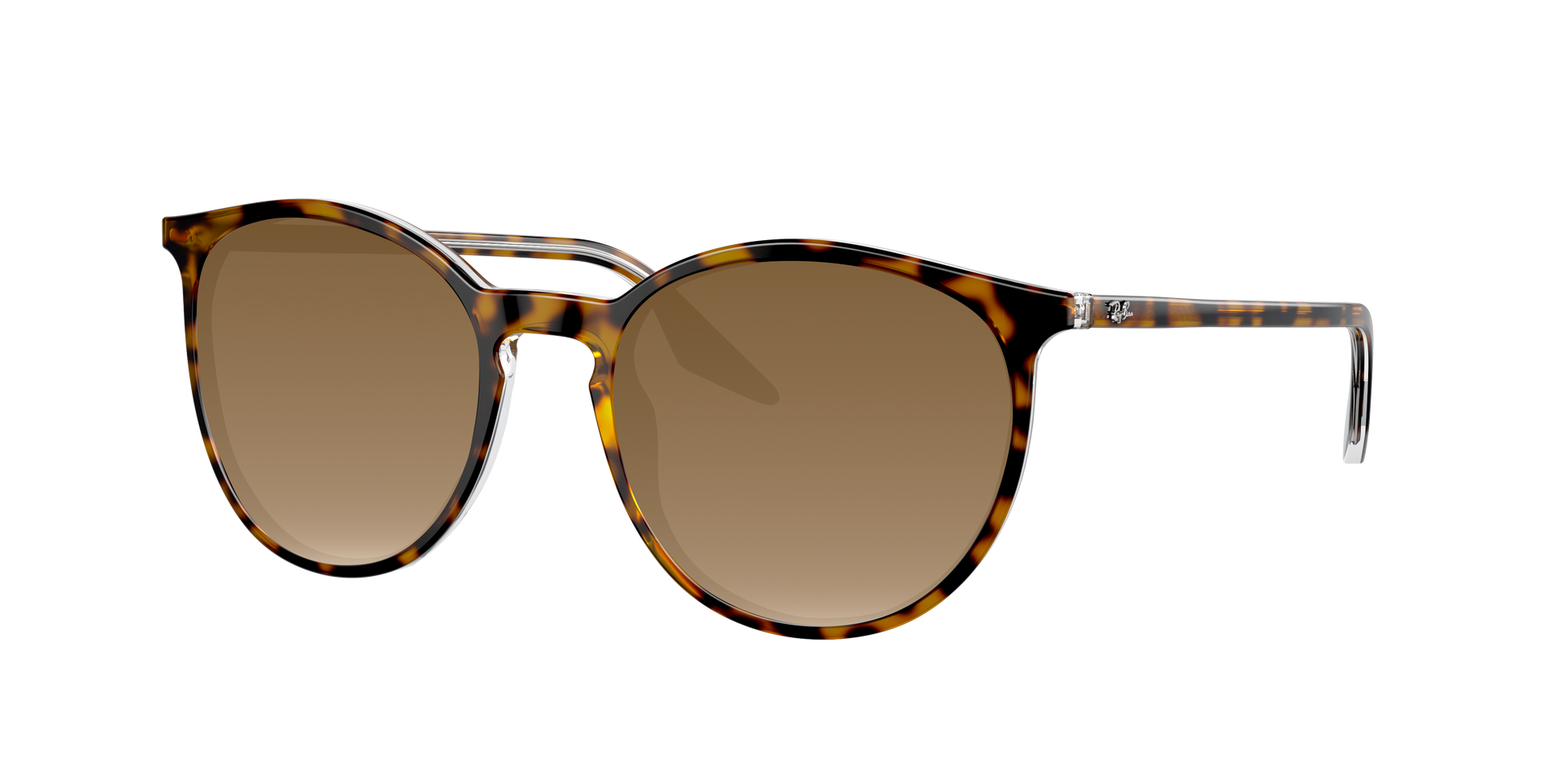 HAVANA ON TRANSPARENT, Brown Gradient, Sunberryrx