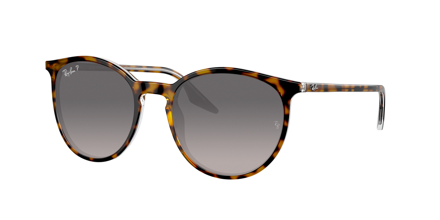 HAVANA ON TRANSPARENT, Grey Gradient-Polarized, Rayban