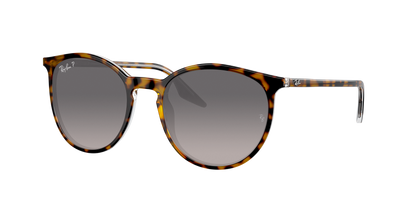 HAVANA ON TRANSPARENT, Grey Gradient-Polarized, Rayban