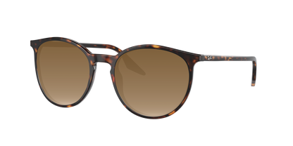 HAVANA, Brown Gradient, Sunberryrx