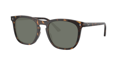 HAVANA, Green-Polarized, Sunberryrx