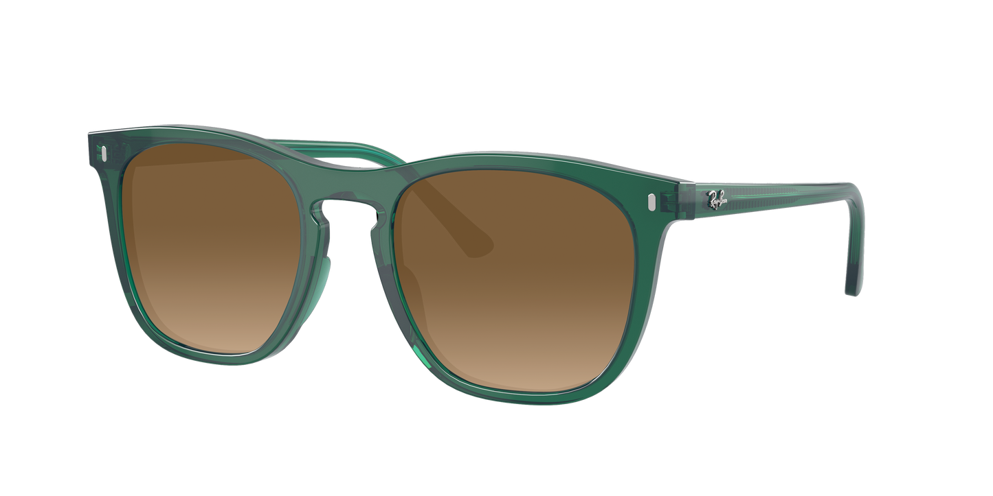 TRANSPARENT GREEN, Brown Gradient, Sunberryrx