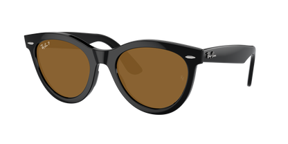 Black, Brown-Polarized, Rayban
