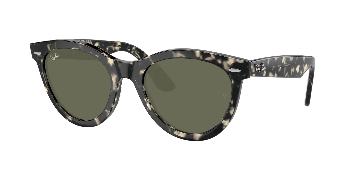 GREY HAVANA, Green, Rayban